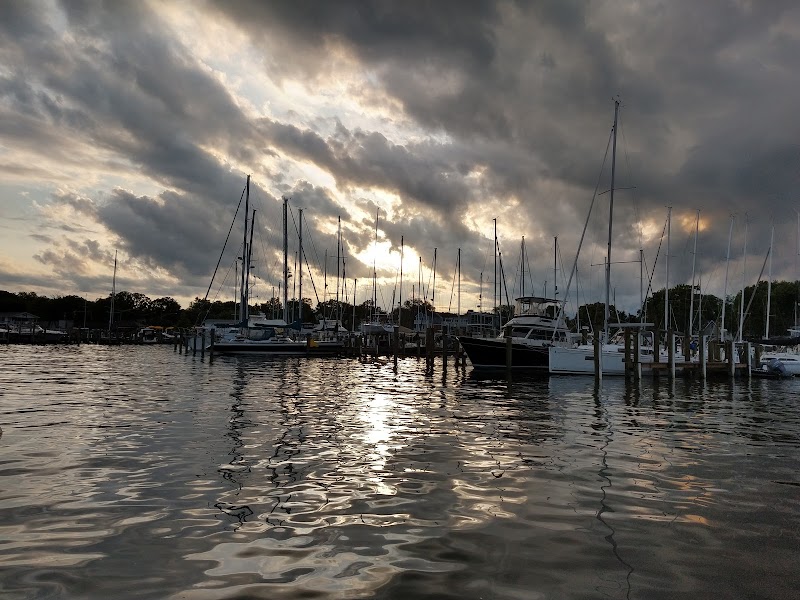 Gone Fishin' Charters photo 4