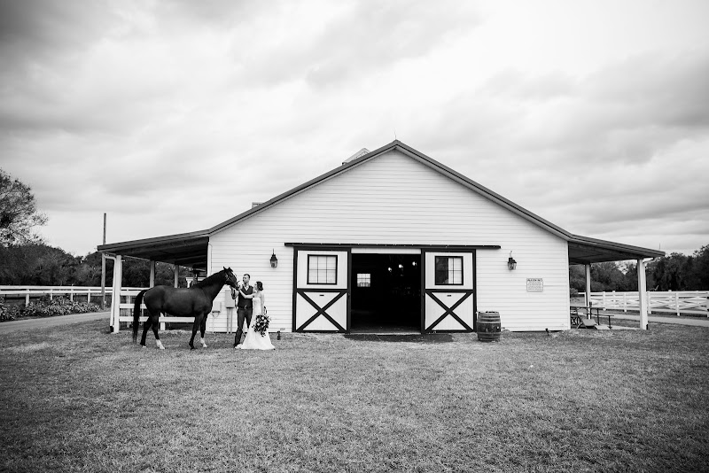 Cavalli Creek Farms photo 2