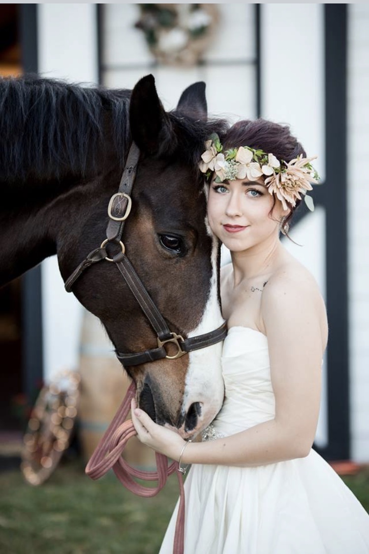 Cavalli Creek Farms photo 3