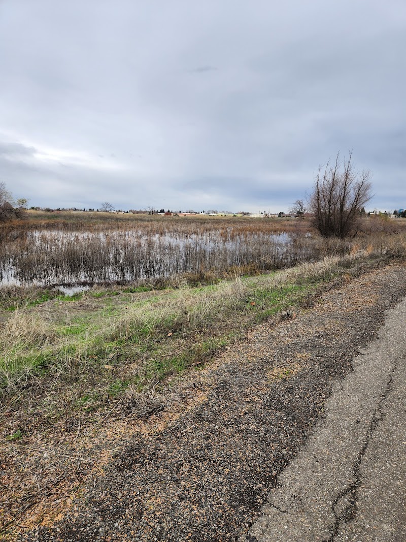 Horse Creek Soccer Complex photo 3