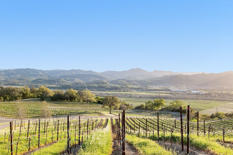 Woodhawk Vineyards photo 5