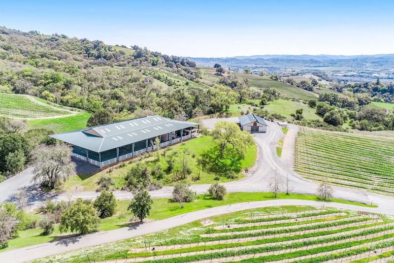 Woodhawk Vineyards photo 2