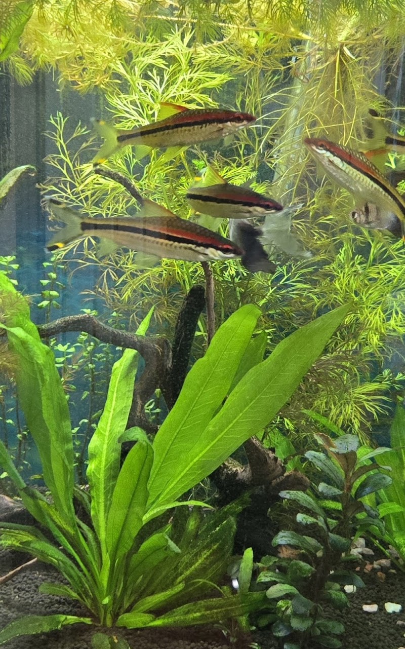 Photo of Vivarium Care LLC