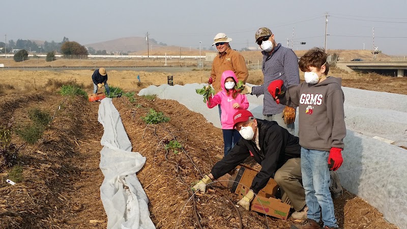 CoCo San Sustainable Farm photo 5