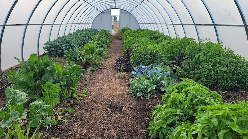 CoCo San Sustainable Farm photo 4