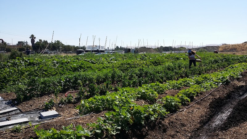 CoCo San Sustainable Farm photo 2
