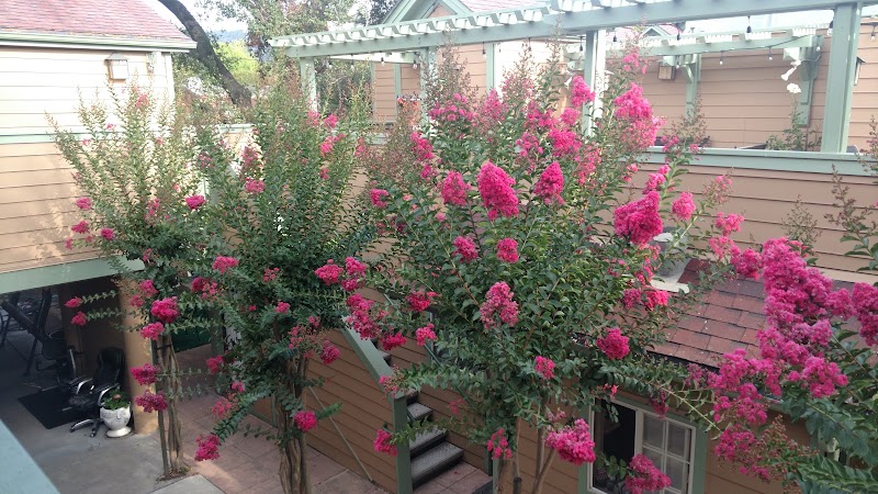 Fairfax Inn photo 3