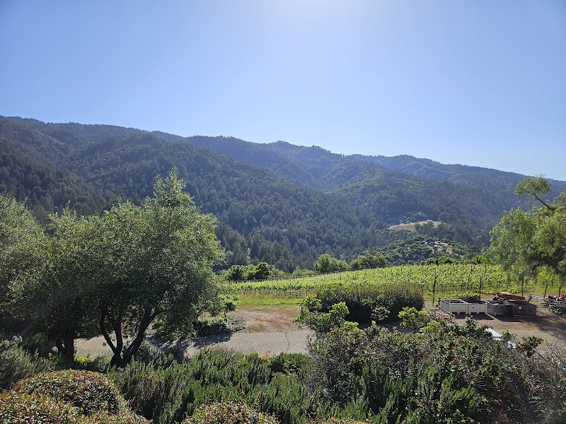 Photo of Domaine Eden