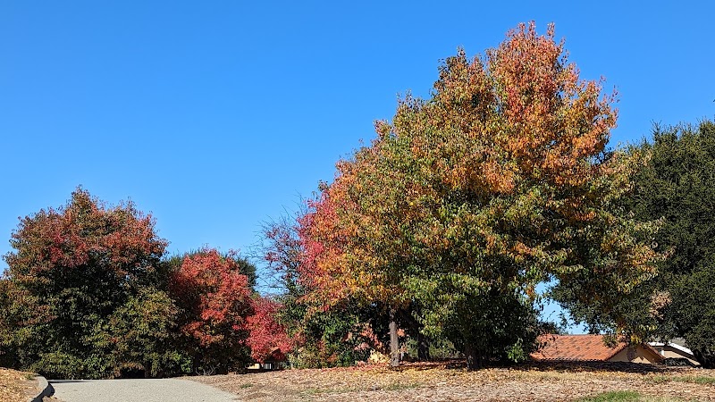 Millbrae Spur Trail photo 2