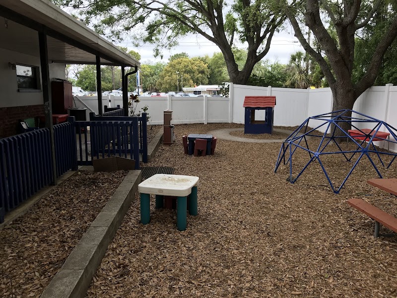 The Sprout Academy - St Pete photo 2