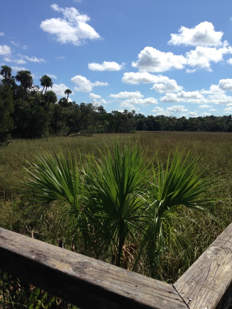 Photo of Crystal River Preserve State Park