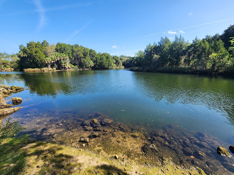 Crystal River Preserve State Park photo 4