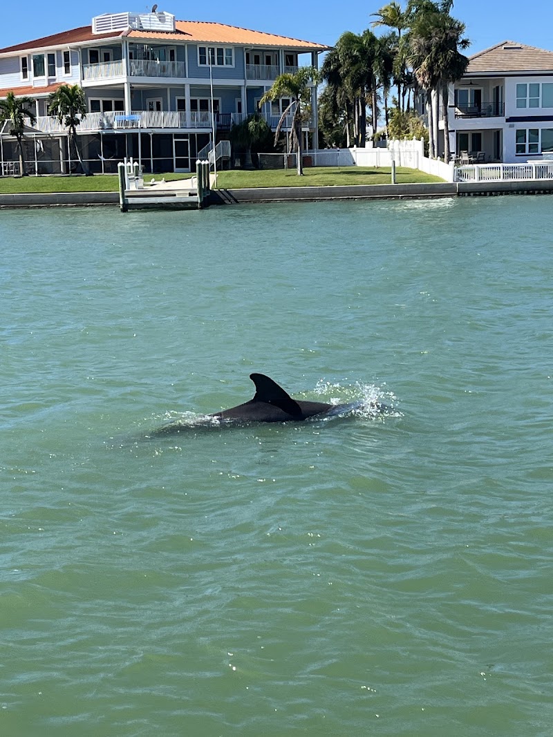 Photo of Dolphin Quest Eco Tours