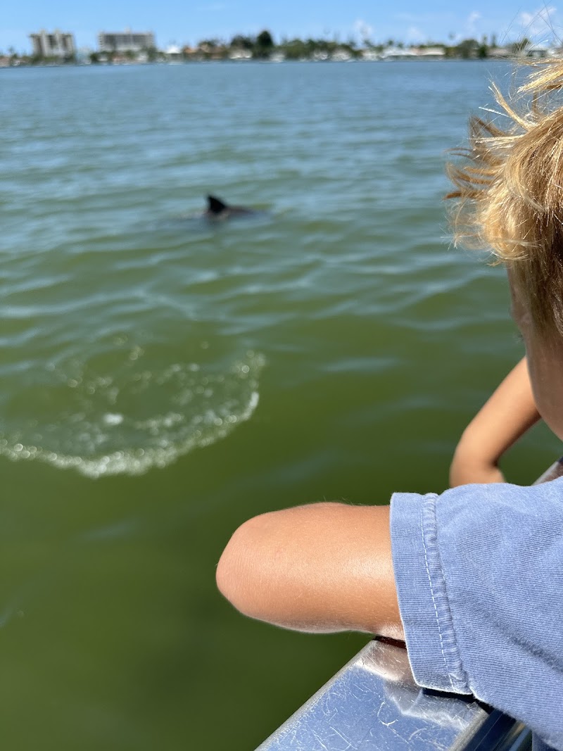 Dolphin Quest Eco Tours photo 3