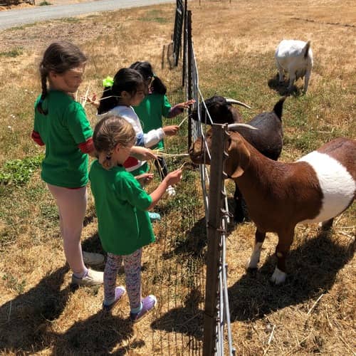 IMAGINA DAYCARE photo 4