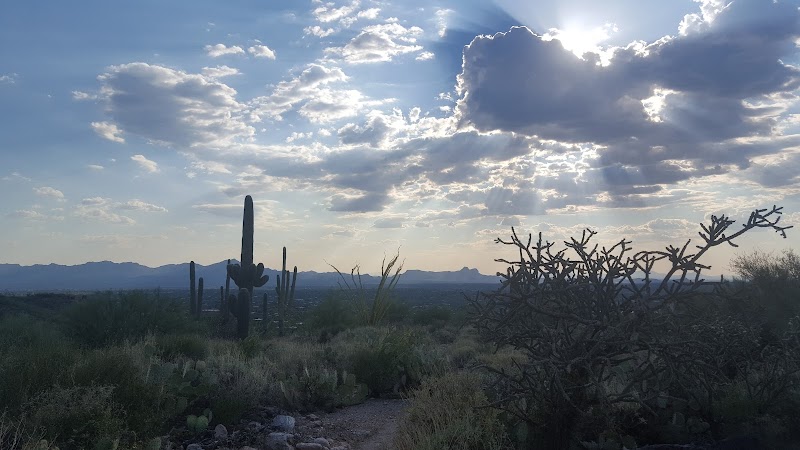 Oro Valley Country Club photo 5