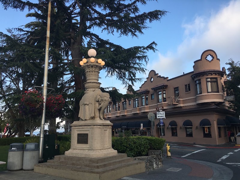 Viña del Mar Park photo 3