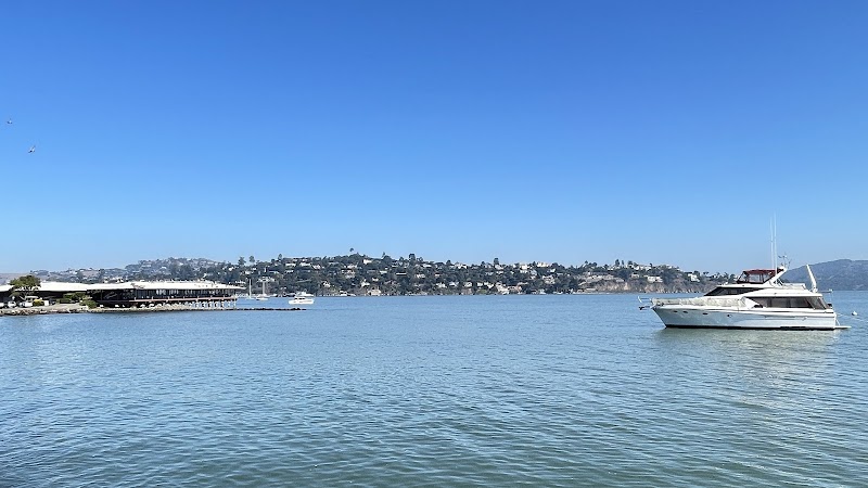 Viña del Mar Park photo 4