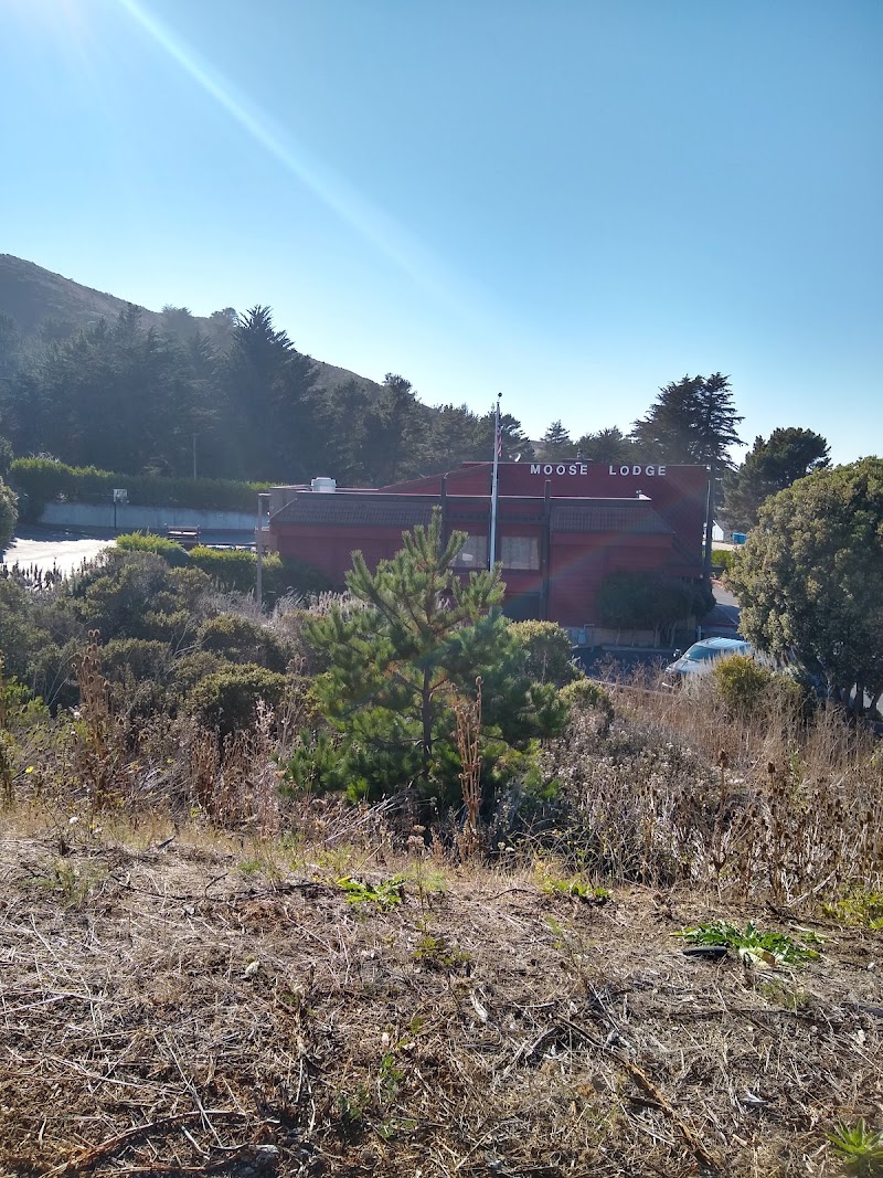 The Moose - Pacifica, CA Lodge 1944 photo 4