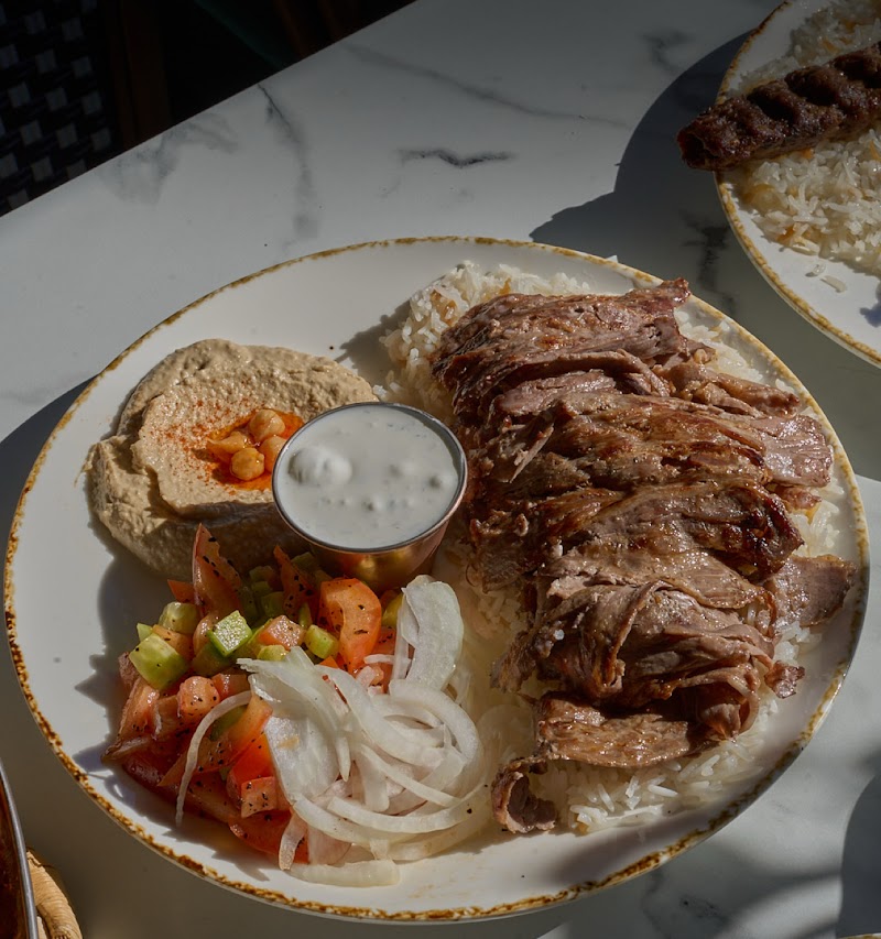 Pasha Mediterranean Cuisine photo 2