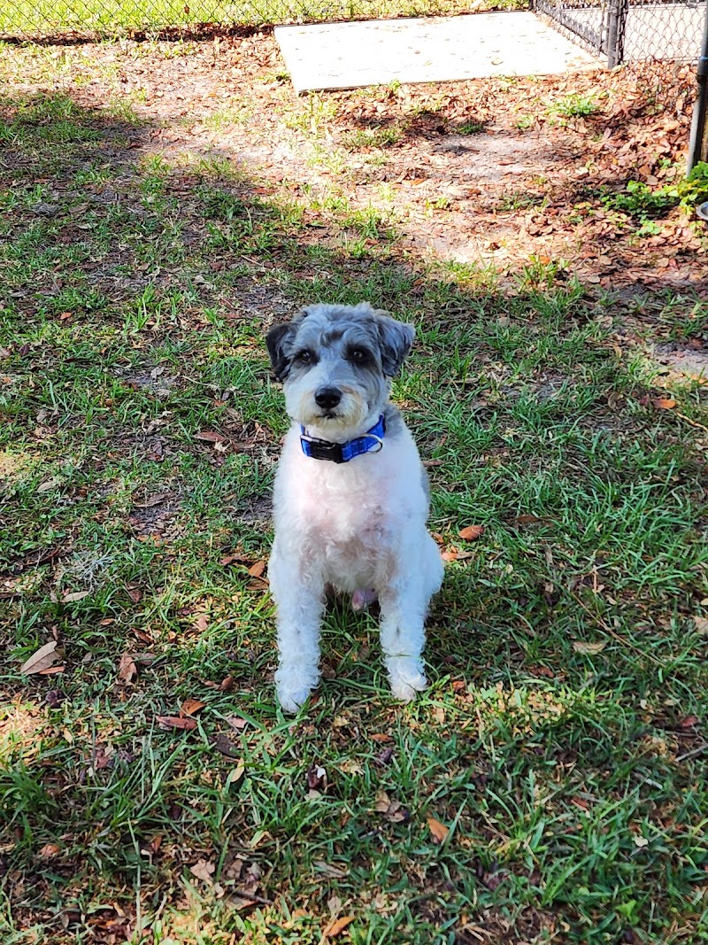 Rosewood Dog Park photo 4