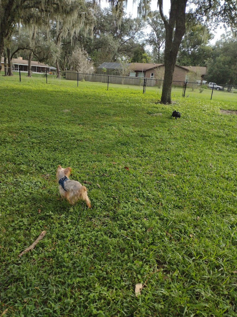 Photo of Rosewood Dog Park