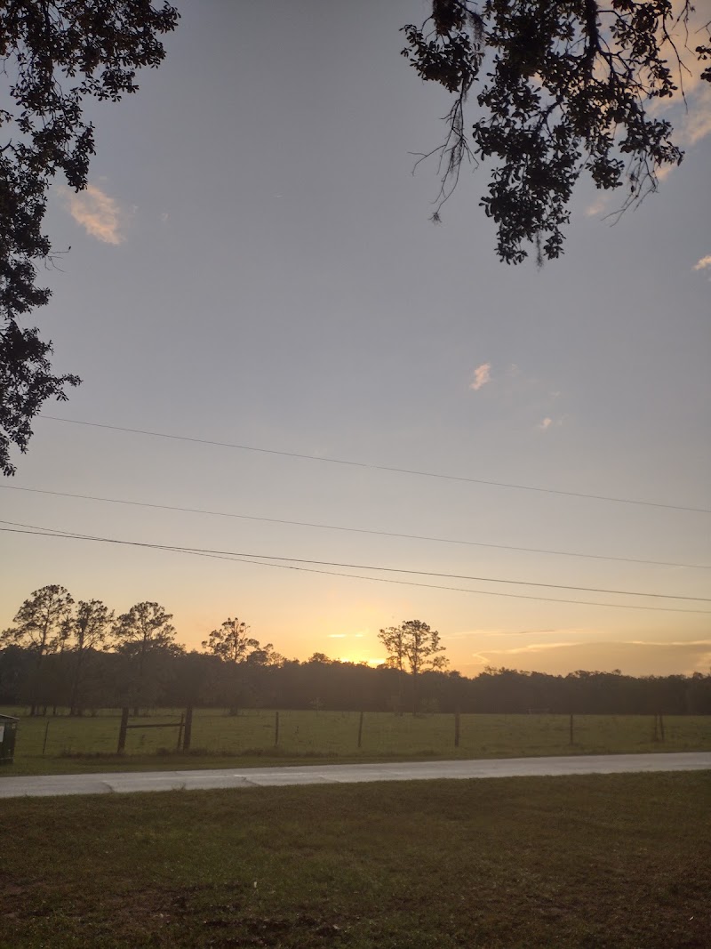 Rosewood Dog Park photo 2