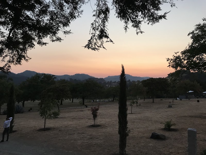 Triple S Ranch Napa photo 5
