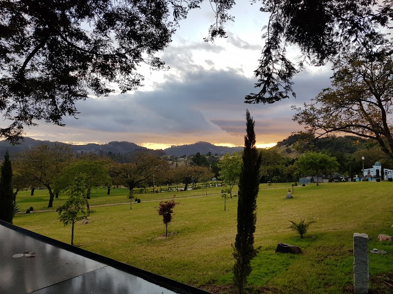 Triple S Ranch Napa photo 4