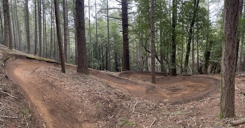 Photo of Endor Flow Trailhead