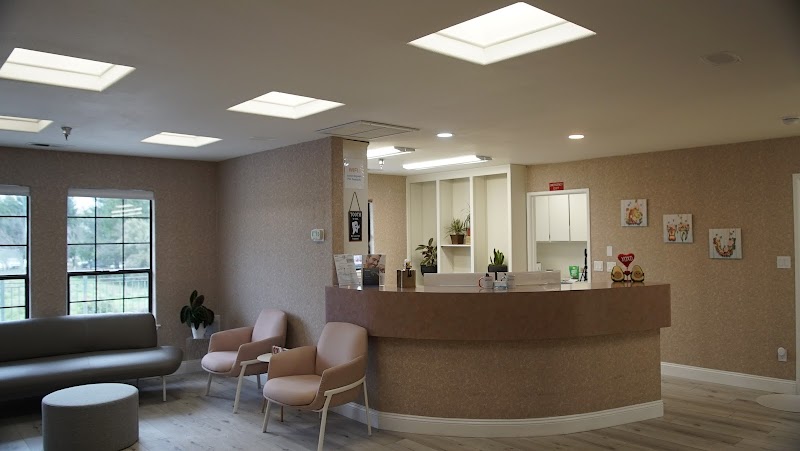 SoulSmile Orthodontics photo 2