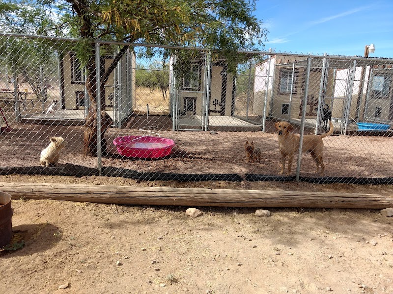 Photo of Lisa's Country Grooming and Boarding