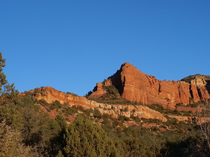 Grand Canyon Tours photo 3