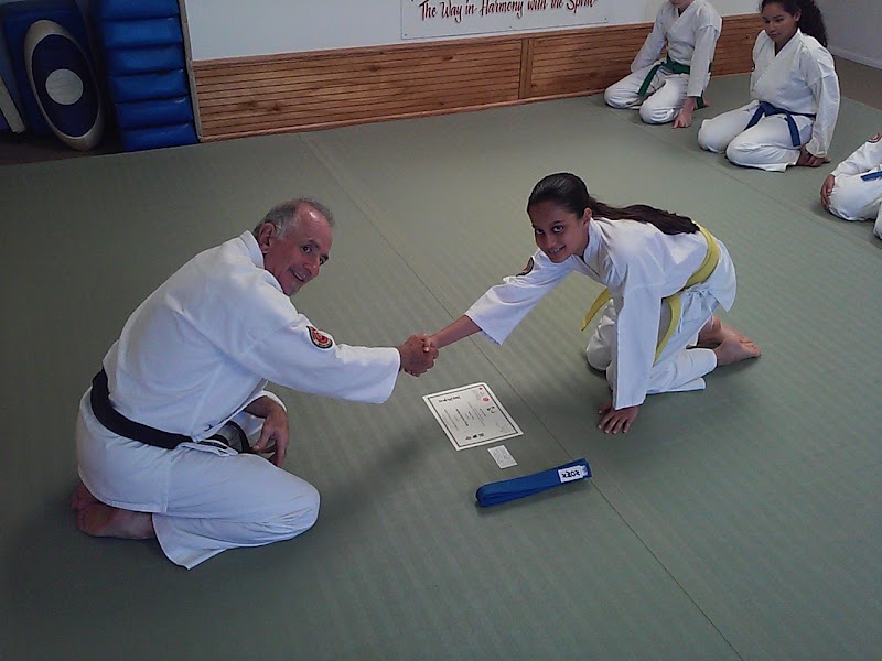Alkido photo 4