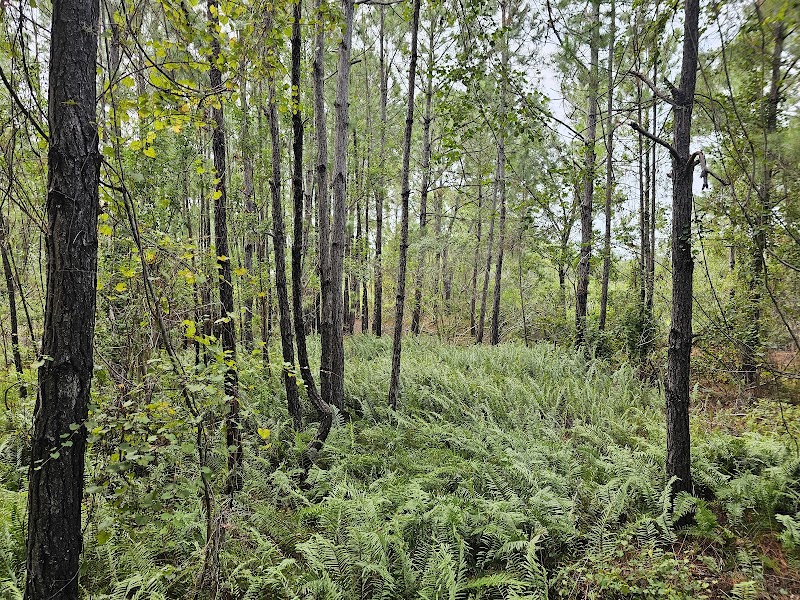 Natural Habitat Park photo 4