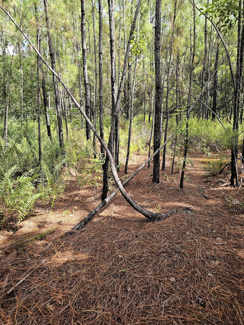 Natural Habitat Park photo 3