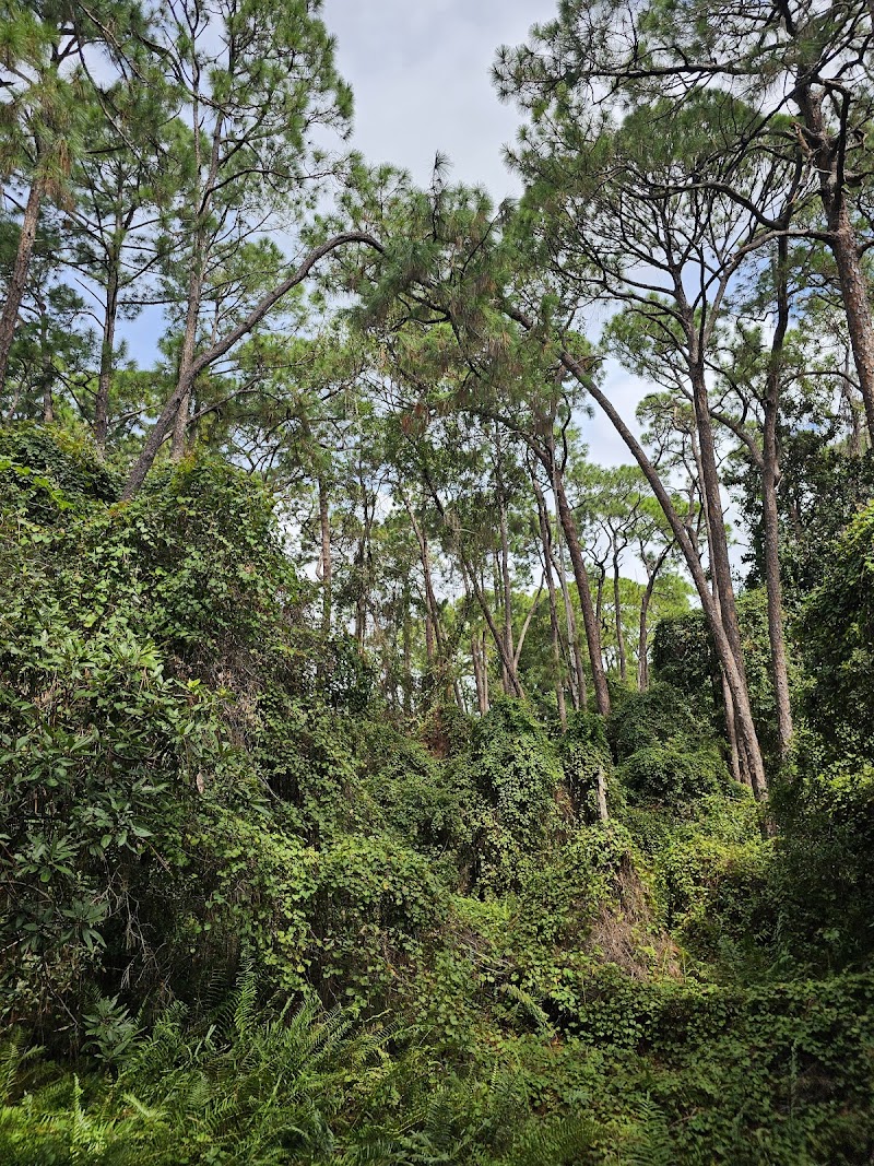Photo of Natural Habitat Park