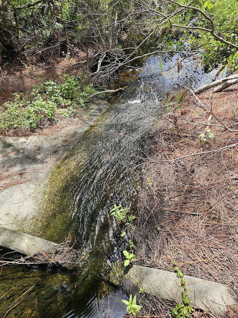 Natural Habitat Park photo 5