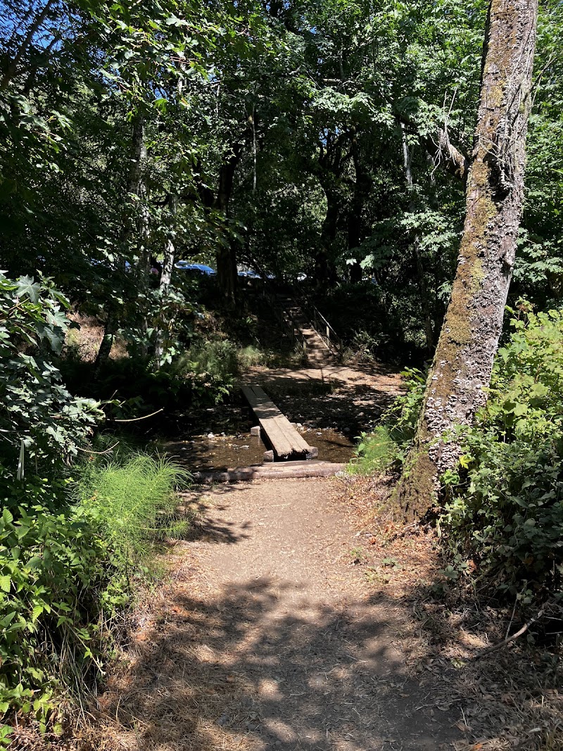 Photo of Bridge over Redwood Creek