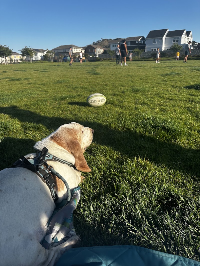 Petaluma Rugby Club Field (Active Park) photo 3