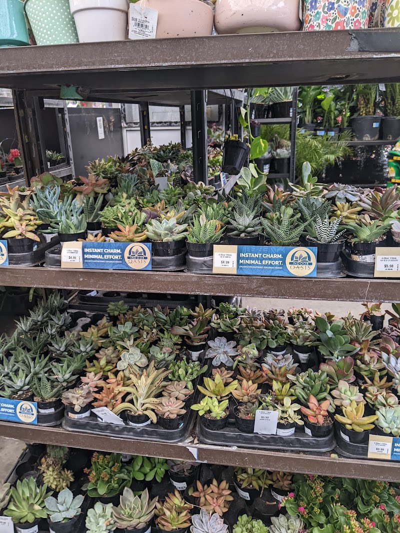 Lowe's Garden Center photo 2