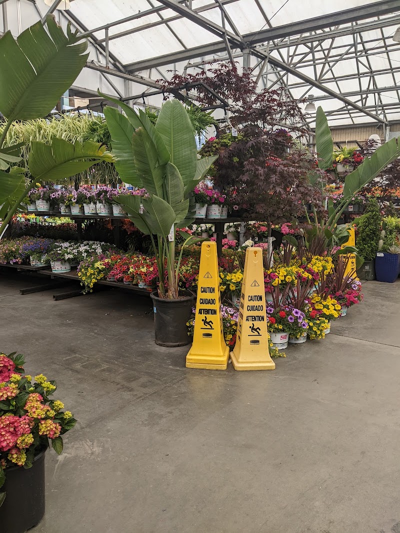 Lowe's Garden Center photo 5