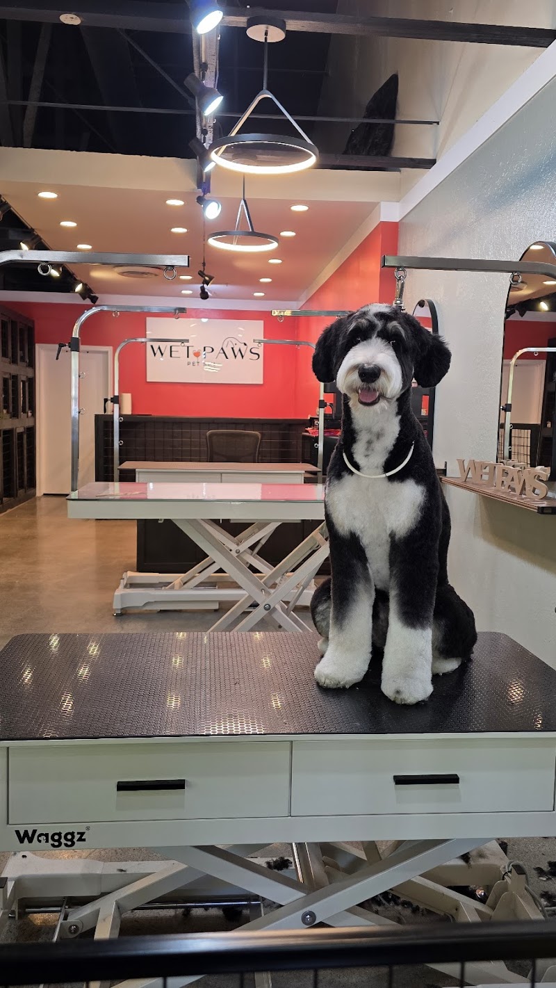 Wet Paws Pet Spa photo 3