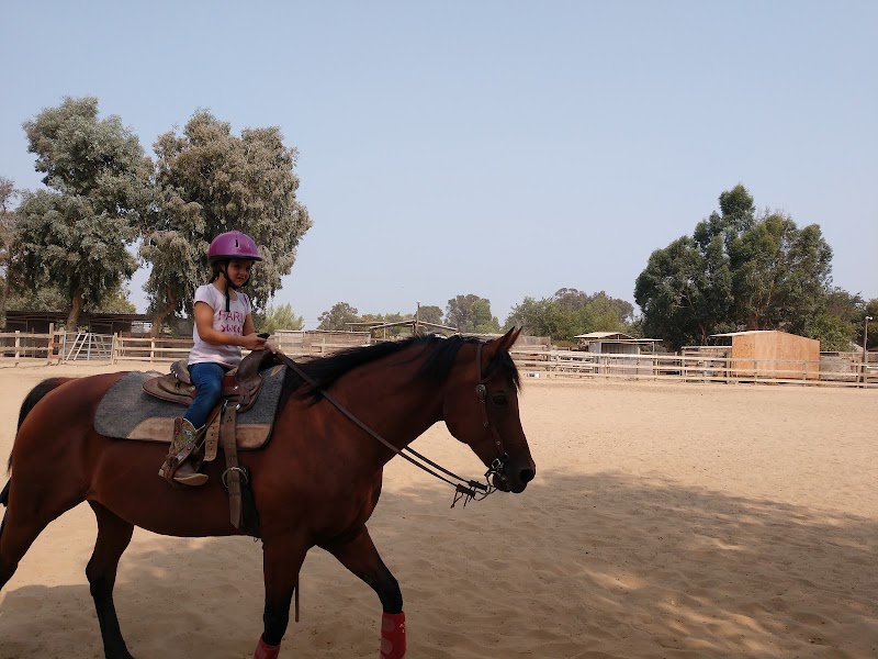 Ringwood Stables photo 5