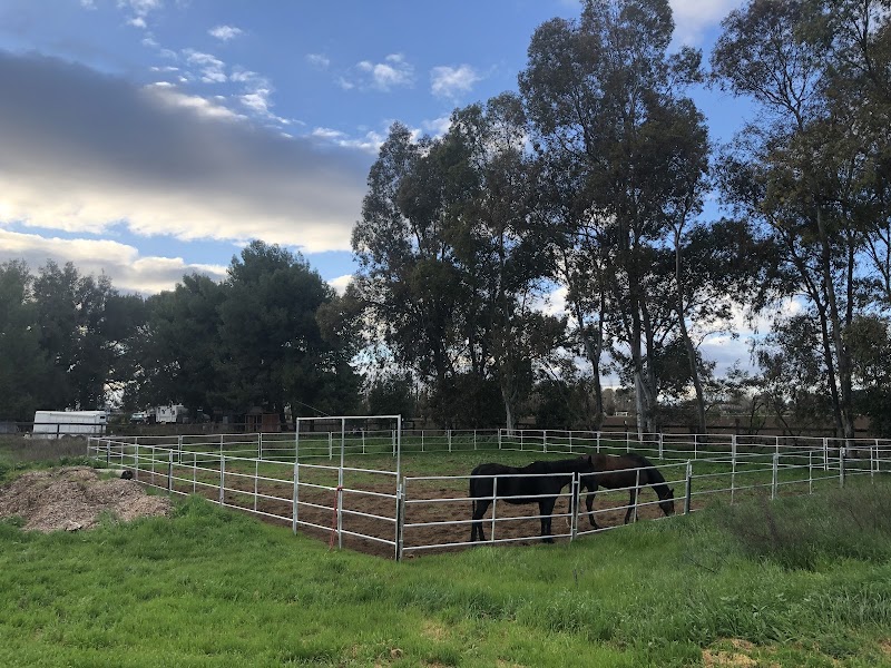 Ringwood Stables photo 2