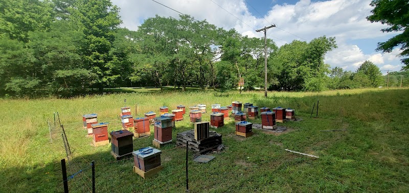 Photo of Apis Farms Inc