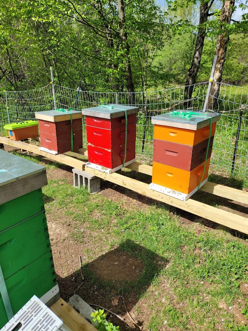 Apis Farms Inc photo 3