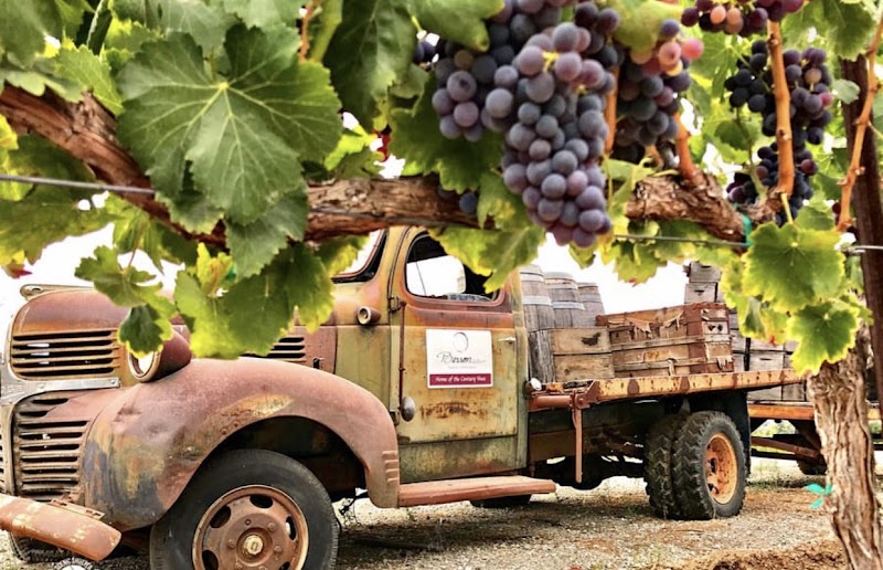 Besson Family Vineyards photo 4