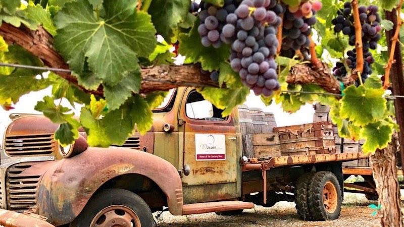 Photo of Besson Family Vineyards