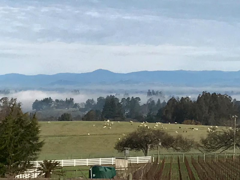 Photo of Green Star Farm